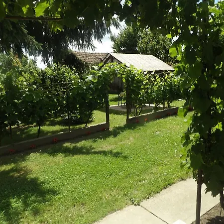 Casa de hóspedes Családi Kaposszekcso